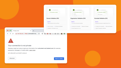 SSL Certificates: How to Protect Your Website